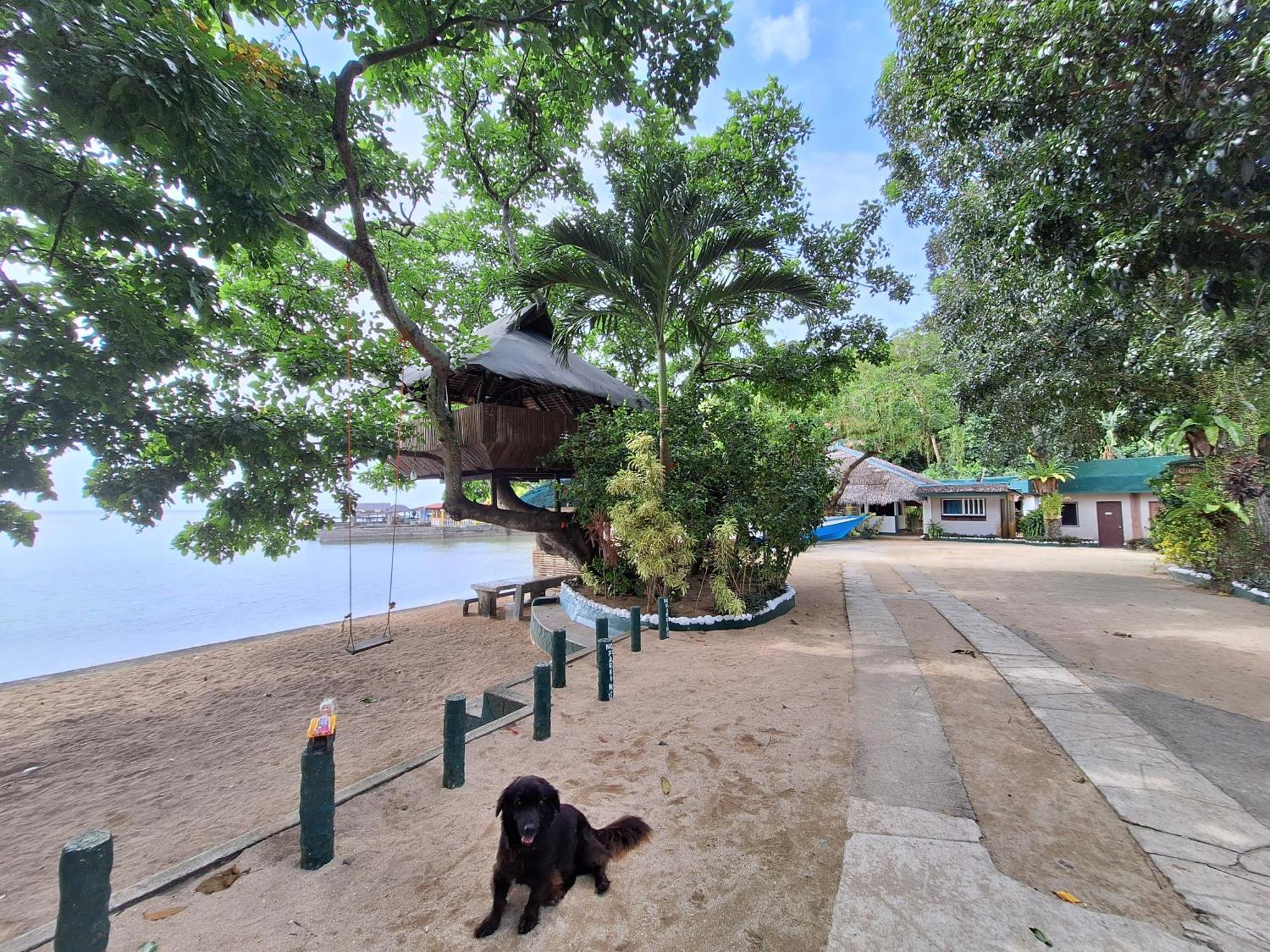 Agta Beach Resort Biliran Εξωτερικό φωτογραφία